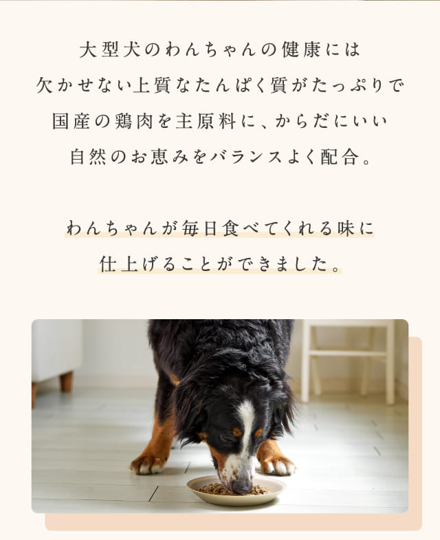 大型犬のわんちゃんの健康には欠かせない上質なたんぱく質がたっぷりで国産の鶏肉を主原料に...