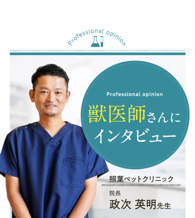 獣医師さんにインタビュー