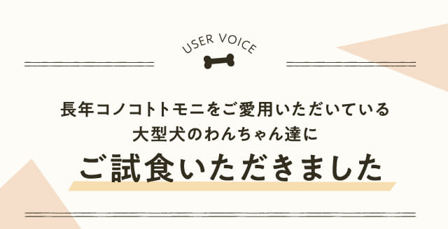 長年コノコトトモニをご愛用いただいている大型犬のわんちゃん達にご試食いただきました