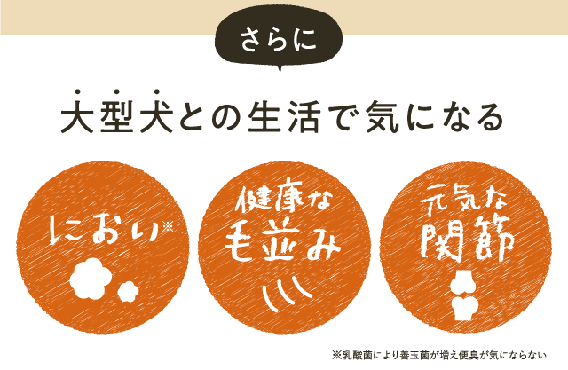 さらに、大型犬との生活で気になるにおい 健康な毛並み 元気な関節