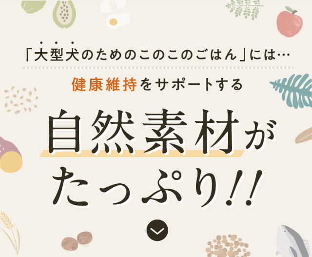 「大型犬のためのこのこのごはん」には...健康維持をサポートする自然素材がたっぷり！！