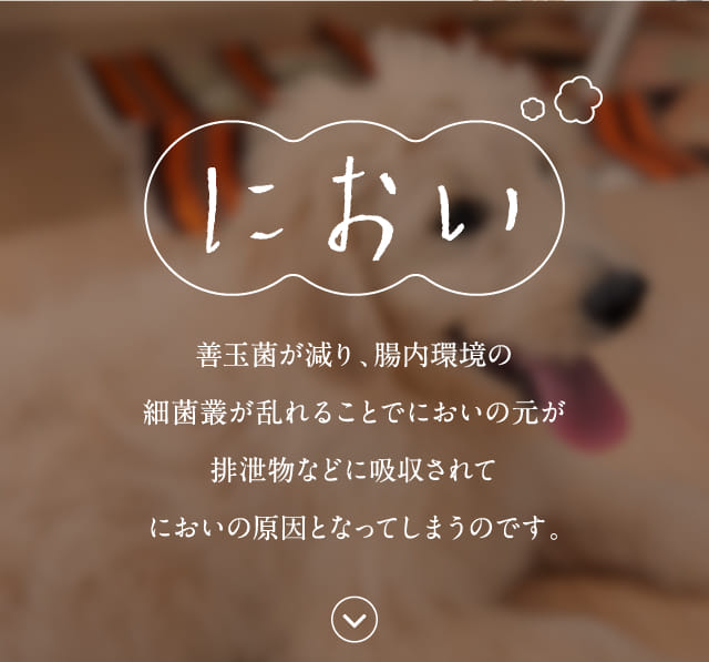 におい 善玉菌が減り、腸内環境の細菌叢が乱れることで...