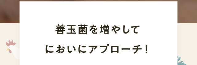 善玉金を増やしてにおいにアプローチ！