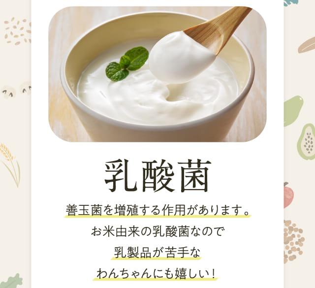 乳酸菌 善玉菌を増殖する作用があります。...