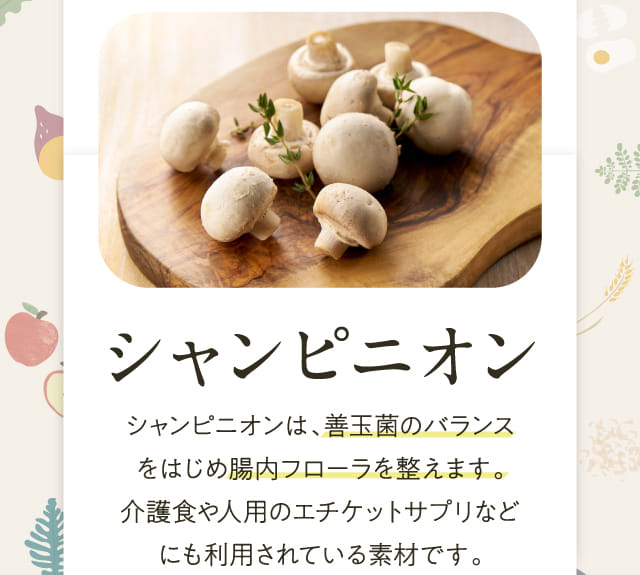 シャンピニオン シャンピニオンは、善玉菌のバランスをはじめ腸内フローラを整えます。...