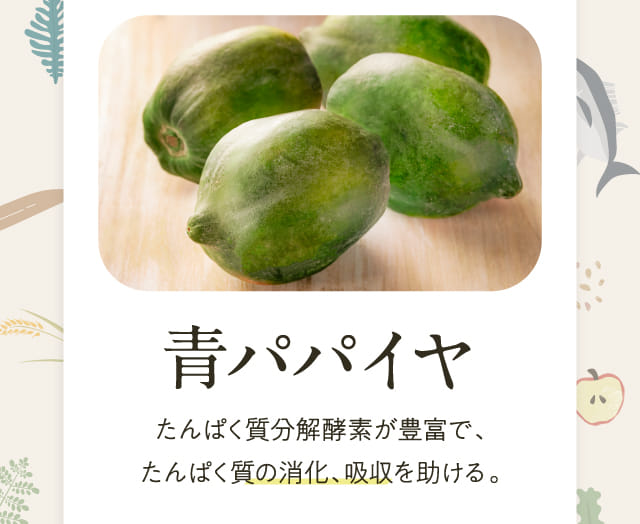 青パパイヤ たんぱく質分解酵素が豊富で、たんぱく質の消化、吸収を助ける。