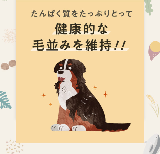 たんぱく質をたっぷりとって健康的な毛並みを維持！！
