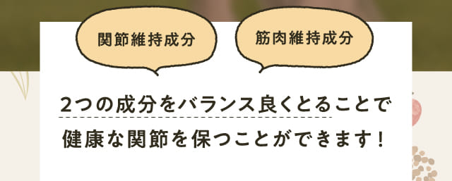 2つの成分をバランス良くとることで健康な関節を保つことができます！