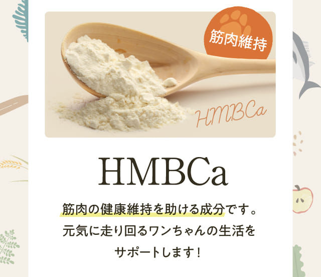 HMBCa 筋肉の健康維持を助ける成分です。...