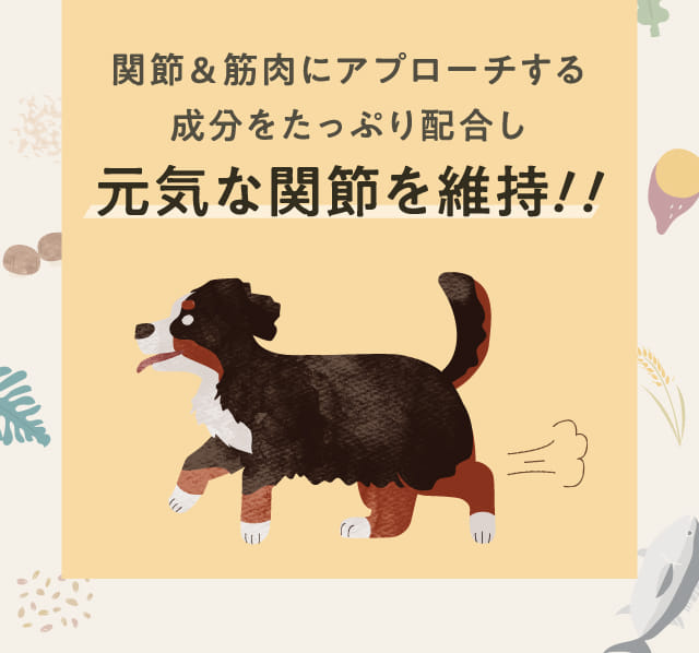 関節＆筋肉にアプローチする成分をたっぷり配合し元気な関節を維持！！