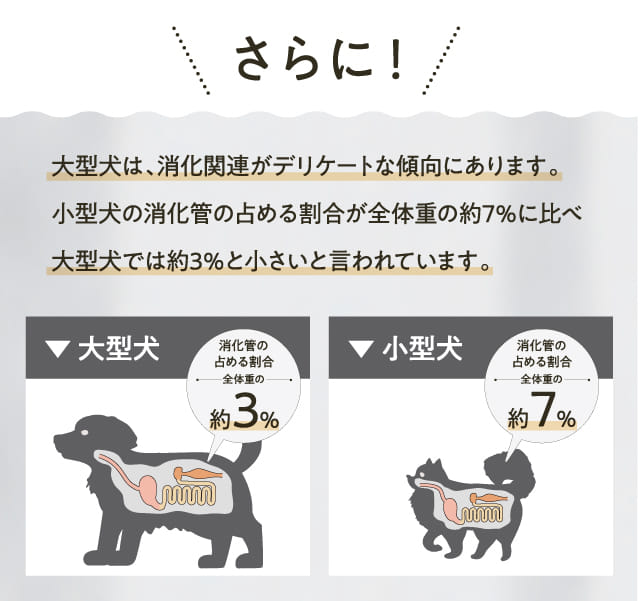 さらに！大型犬は、消化関連がデリケートな傾向にあります。...