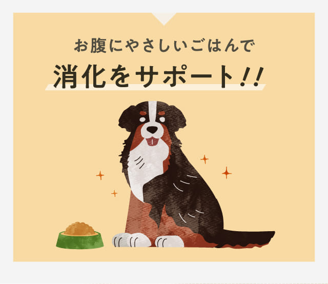 お腹にやさしいごはんで消化をサポート！！