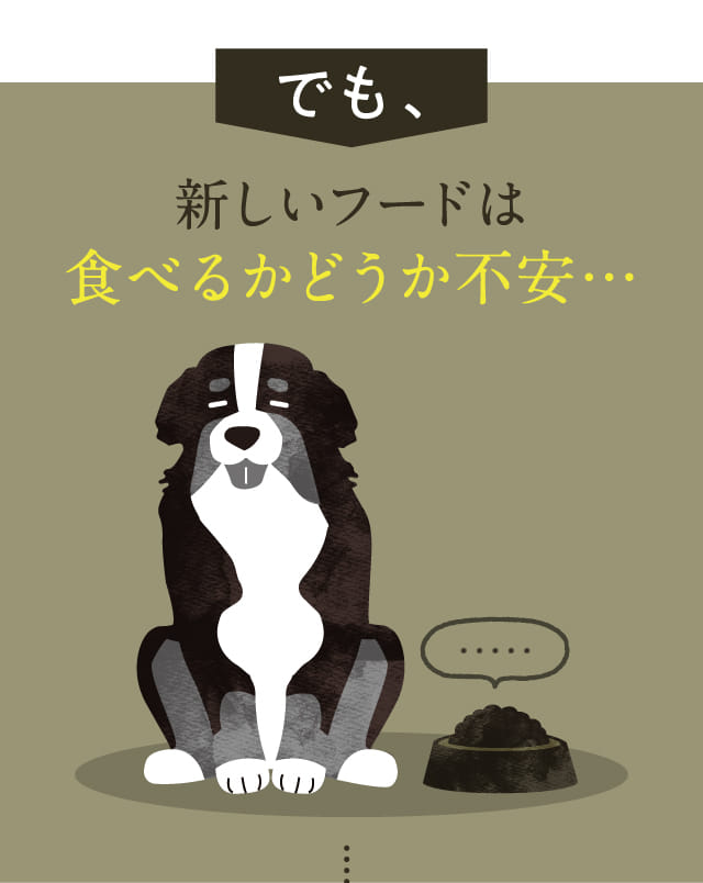 でも、新しいフードを食べるかどうか不安...