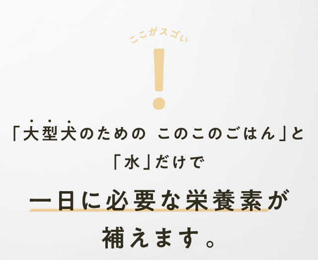 「大型犬のための このこのごはん」と「水」だけで...