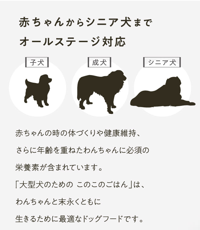 赤ちゃんからシニア犬までオールステージ対応