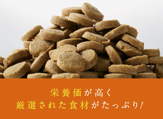 栄養価が高く厳選された食材がたっぷり！