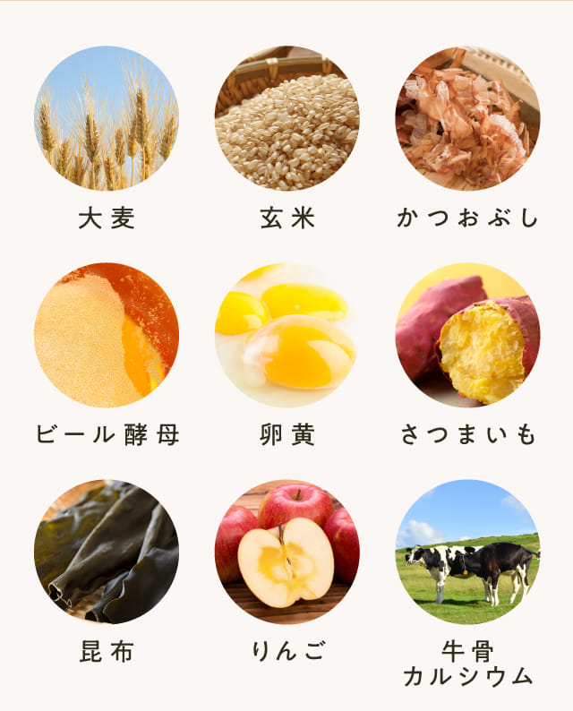 大麦 玄米 かつおぶし...