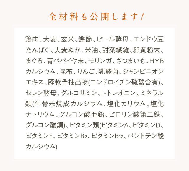 全材料も公開します！