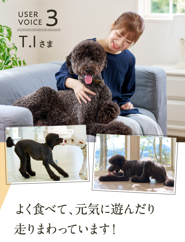 よく食べて、元気に遊んだり走りまわっています！