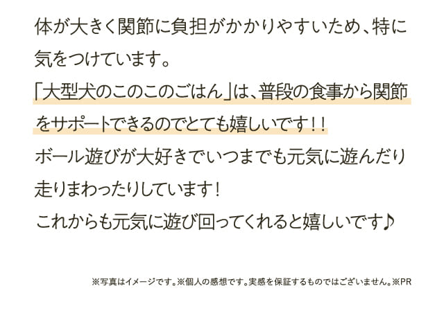 体が大きく関節に負担が...