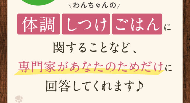 わんちゃんの体調 しつけ ごはんに関することなど、...