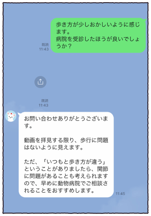 我が家のわんこは犬見知りが激しいです。...