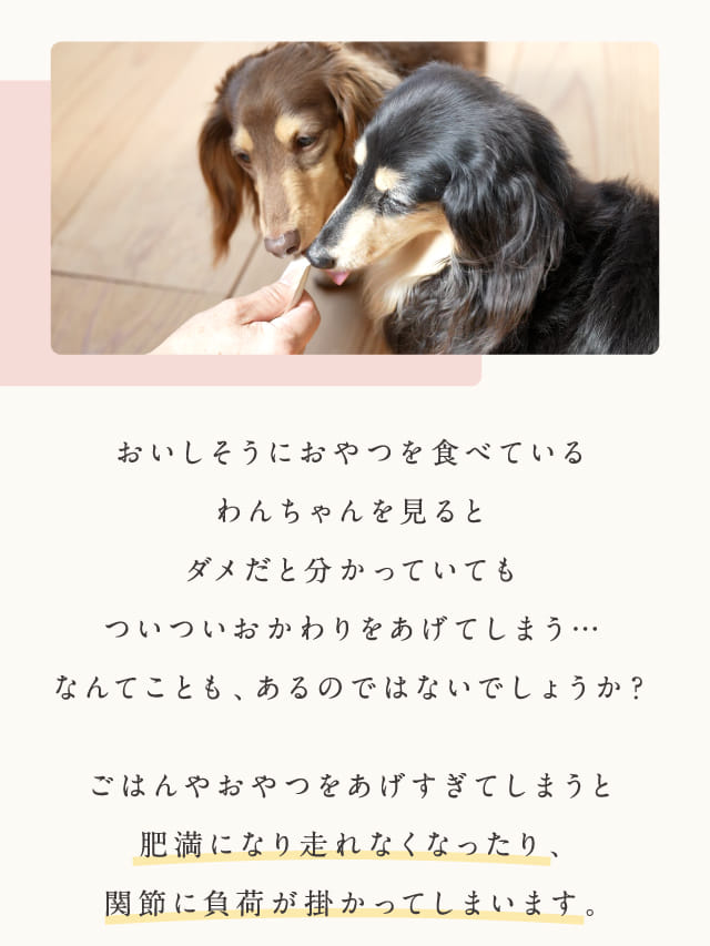 おいしそうにおやつを食べている...