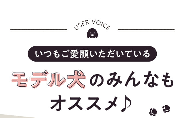 いつもご愛顧いただいているモデル犬のみんなもオススメ