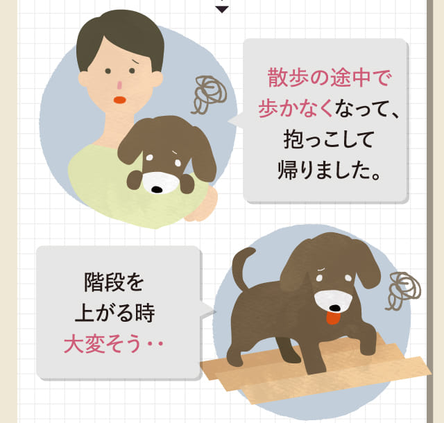 散歩の途中で歩かなくなってしまって、抱っこして帰りました。...