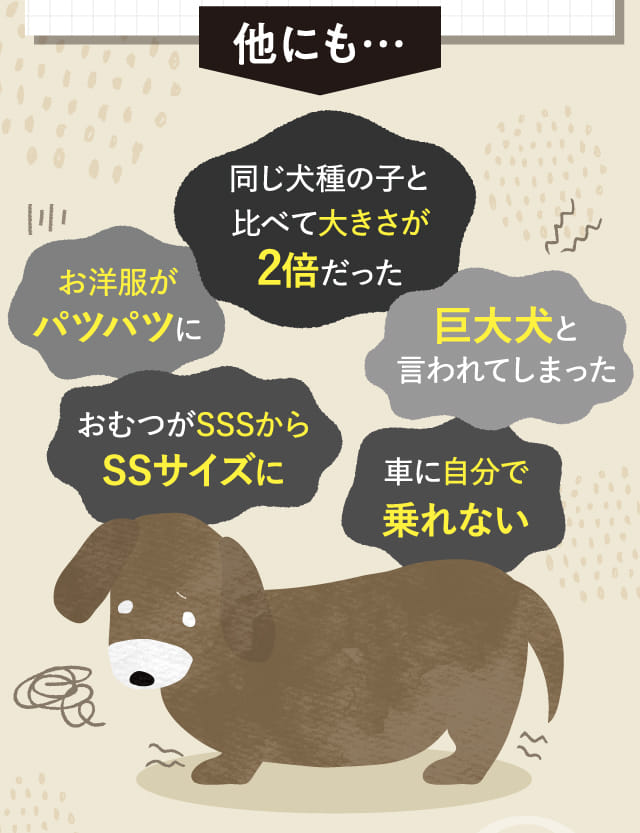 他にも…同じ犬種の子と比べて大きさが2倍だった...
