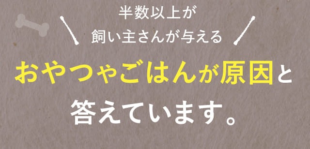 半数以上が飼い主さんが考えるおやつやごはんが原因と答えています。
