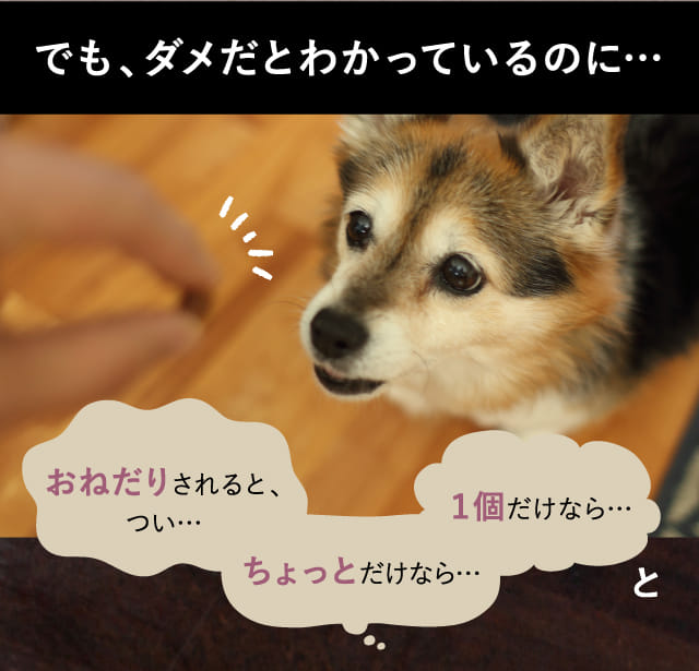 でも、ダメだとわかっているのに...