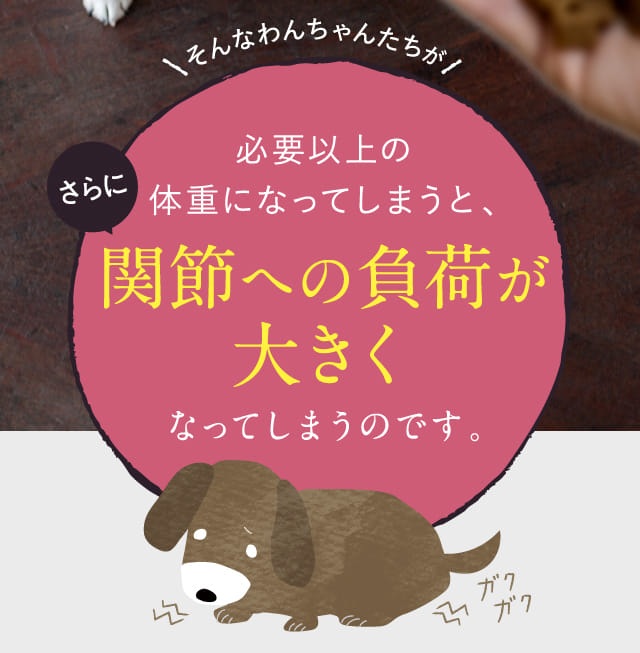 必要以上の体重になってしまうと、関節への負荷が大きくなってしまうのです。