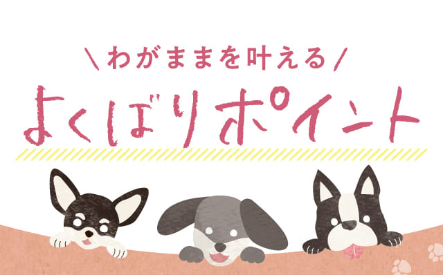 わがままを叶えるよくばりポイント