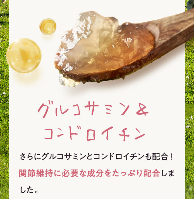 グルコサミン＆コンドロイチン