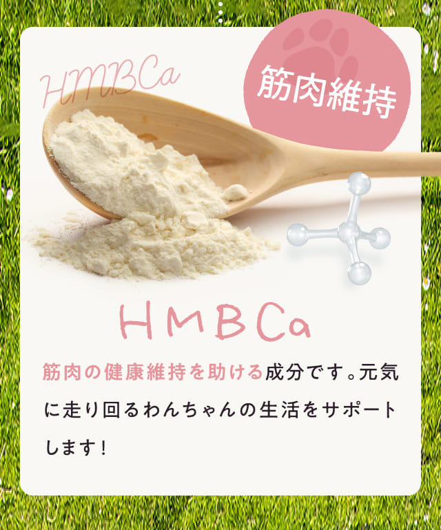 HMBCa