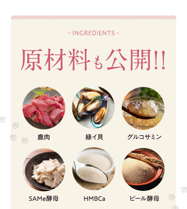 原材料も公開！