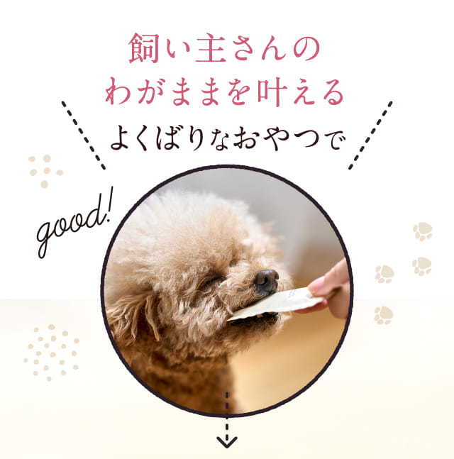 飼い主さんのわがままを叶えるよくばりなおやつで