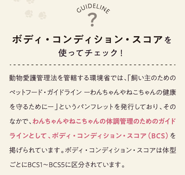 ボディ・コンディション・スコアを使ってチェック！