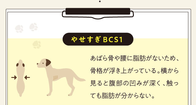 やせすぎBCS1