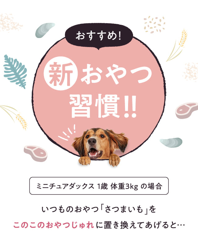 おすすめ！新おやつ習慣！！