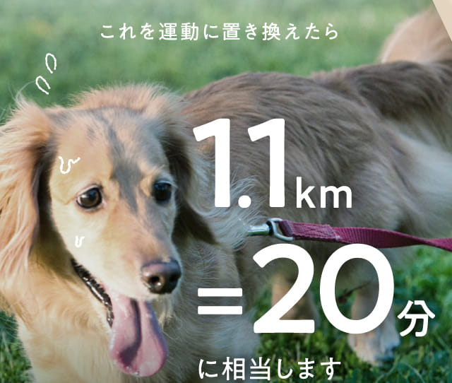 これを運動に置き換えたら1.1km=20分に相当します