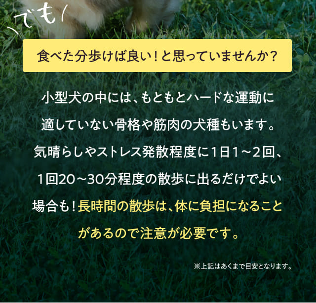 でも食べた分歩けば良い！と思っていませんか？
