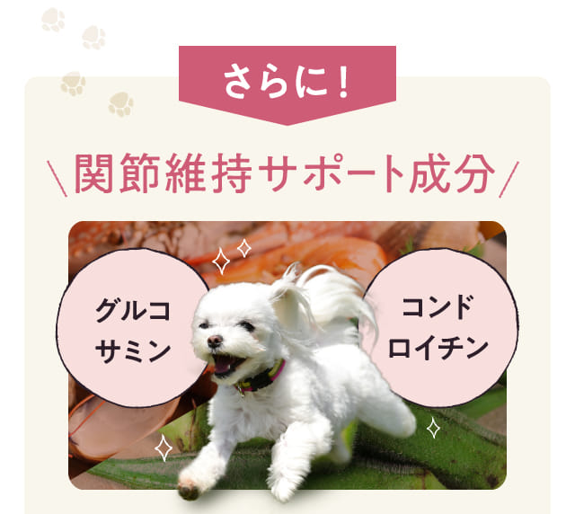 関節維持サポート成分