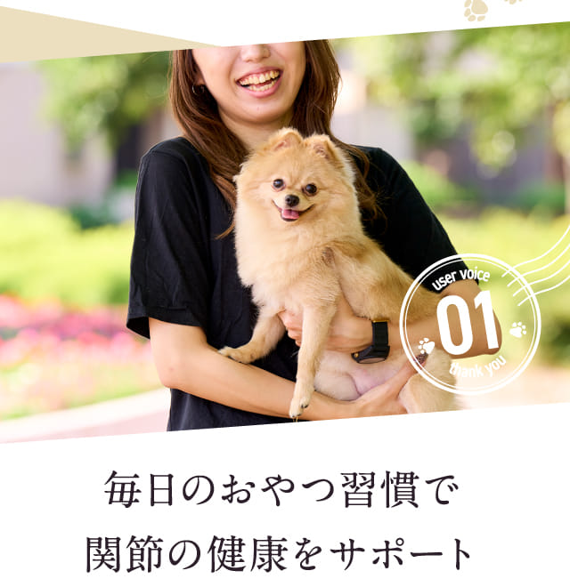 毎日のおやつ習慣で関節の維持をサポート