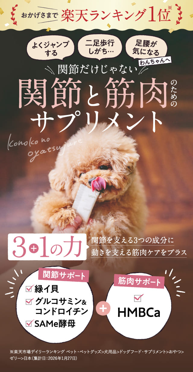 関節と筋肉のためのサプリメント