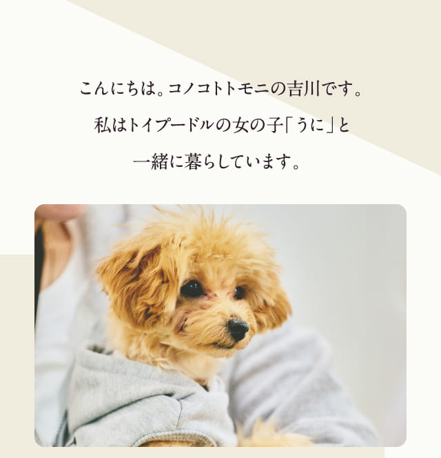 こんにちは、コノコトトモニの吉川です。…