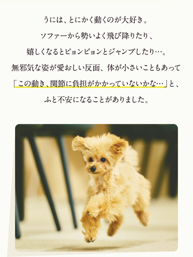 うには、とにかく動くのが大好き。…