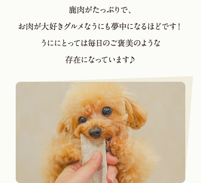 鹿肉がたっぷりで、お肉が大好きな…