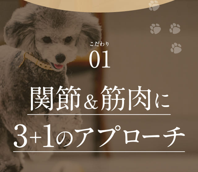 関節＆筋肉に3+1のアプローチ